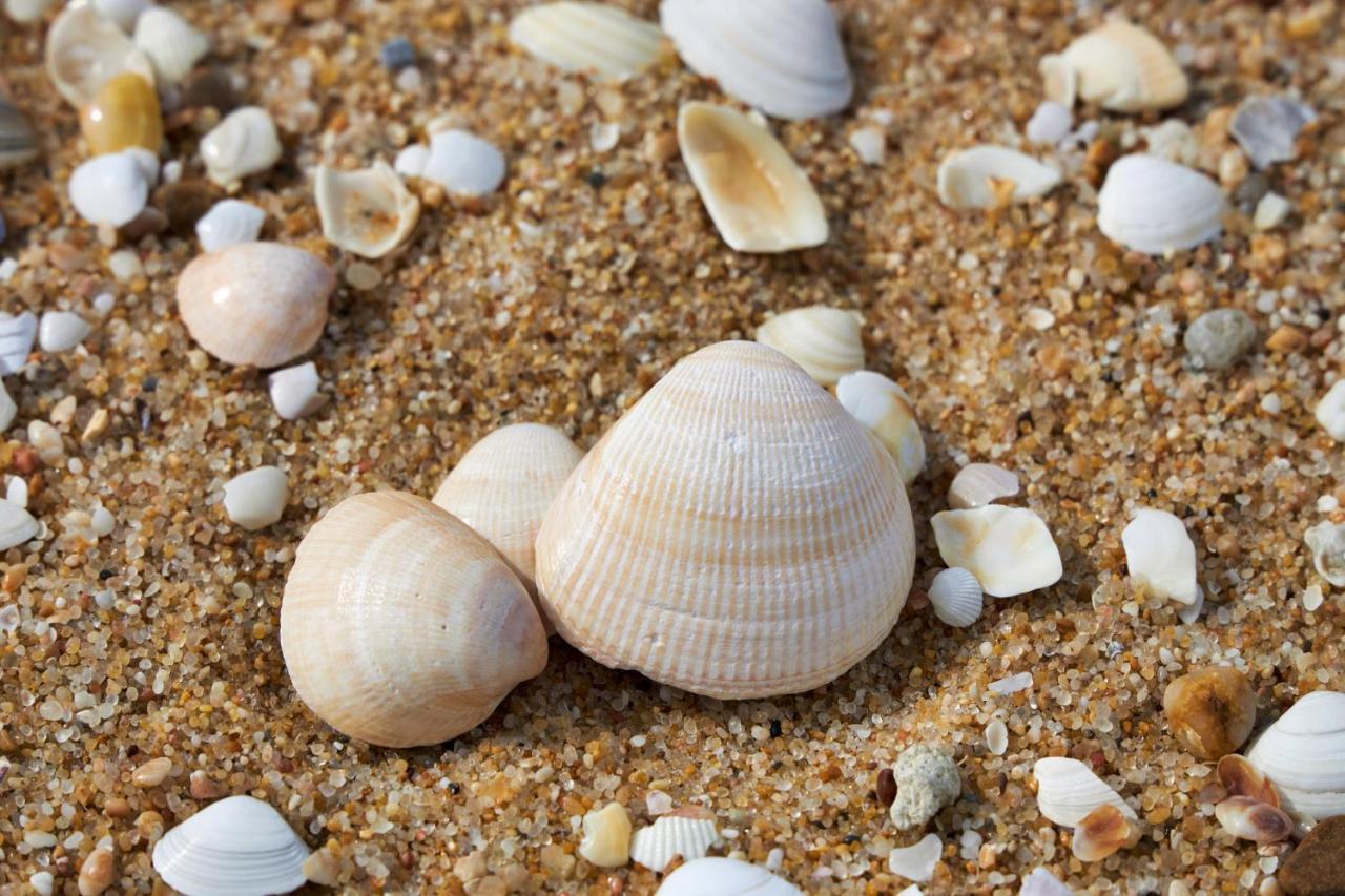 Apart@Costasantoandre Beach Сантіагу-ду-Касен Екстер'єр фото